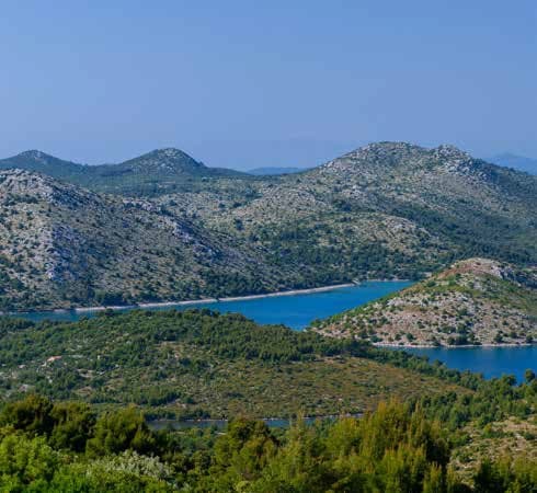 South-facing slopes where villa parcels would sit, one per three hectares.