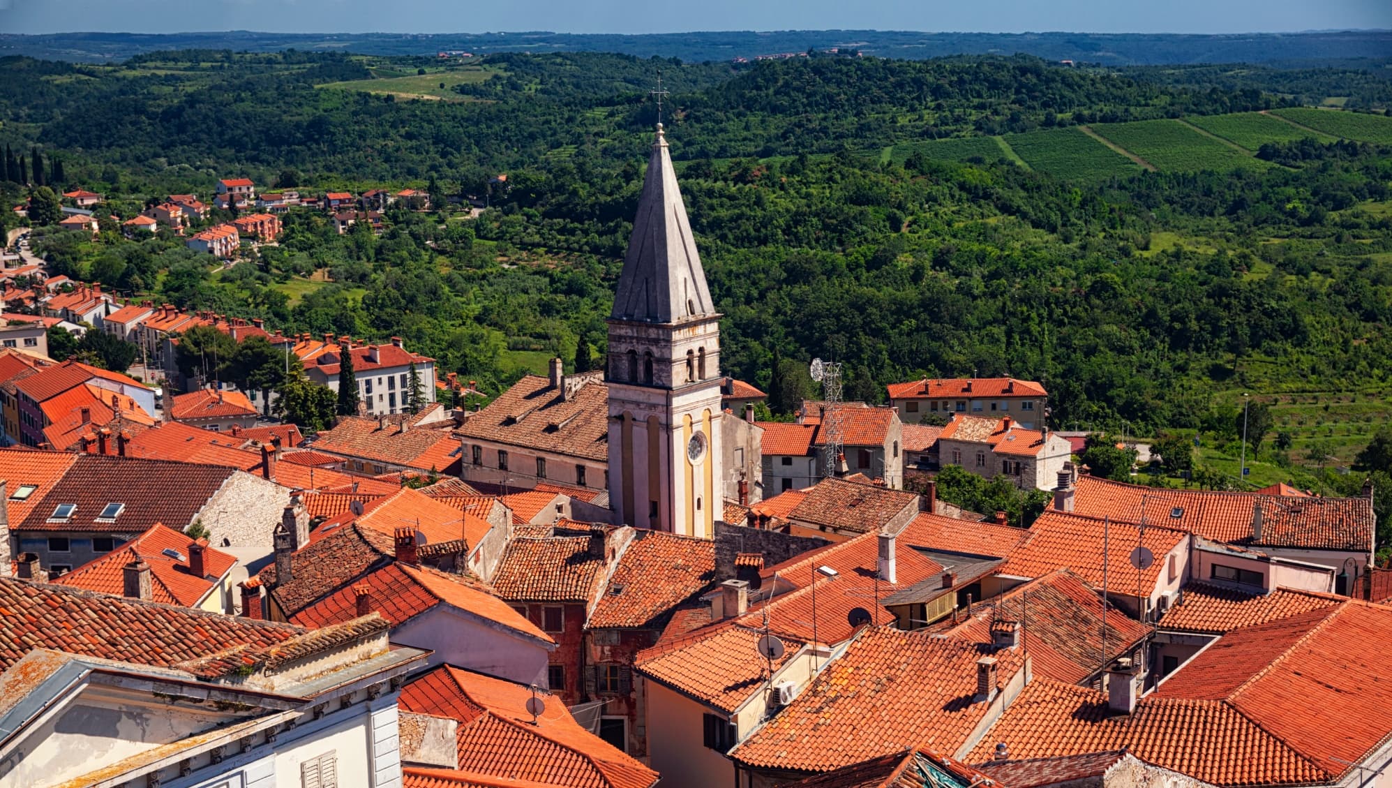 Buje's terracotta rooftops and bell tower above the vineyards, five kilometres from the estate.