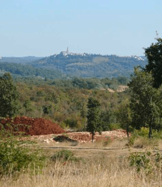 Markocija Estate in Istria, gently rising Mediterranean woodland toward the hilltop town of Buje.